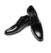 Italian Derby Lace-Up Leather Dress Shoes for Men | Ortwin LARISCOTT